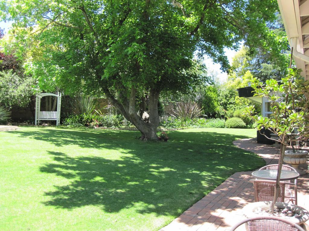 The Pecan Tree Guesthouse Sandton Habitación foto